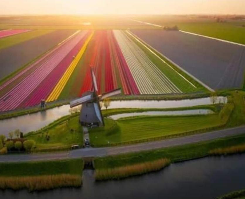 Boathouse At Unescco Fort And Magnificent Lake-View Roelofarendsveen Exterior foto